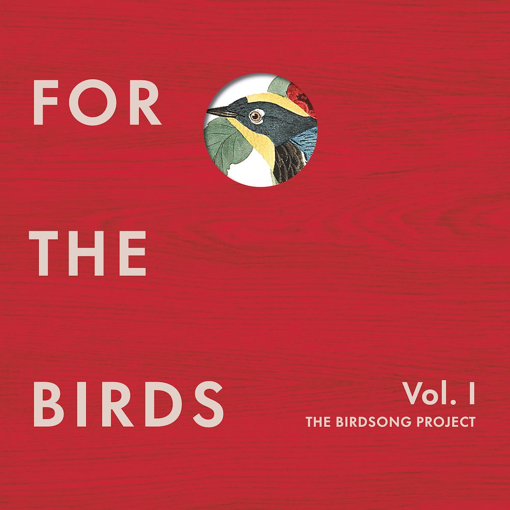Image of the Birdsong Project showing a cartoon of a bird with text FOR THE BIRDS