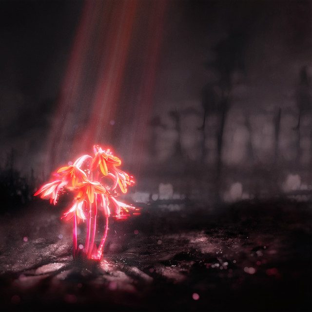 Image of flower plants in red lighting with dark background