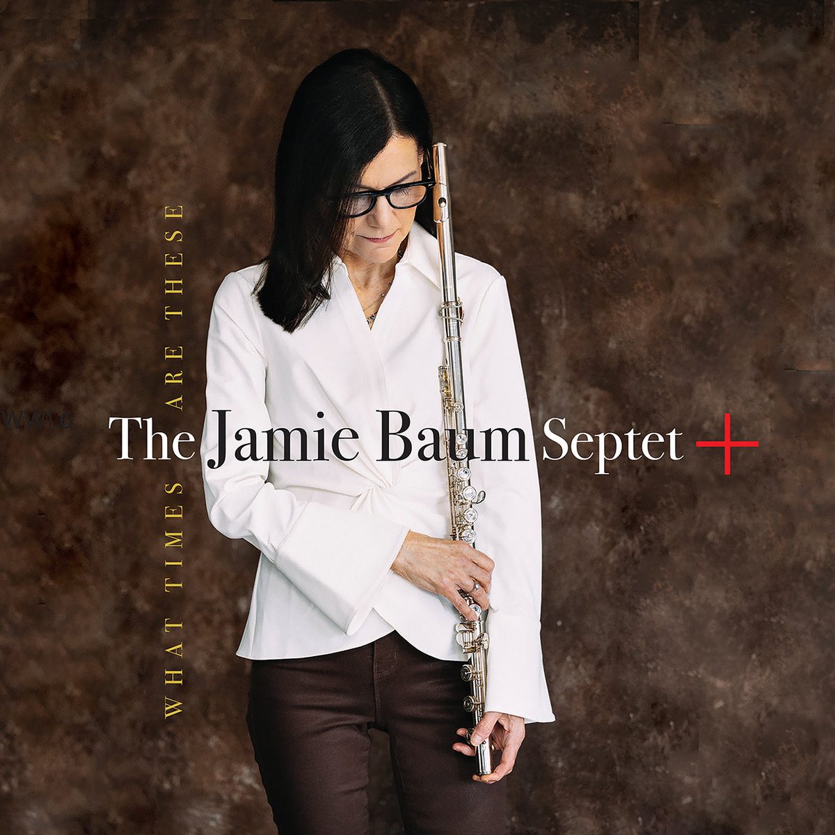Jamie Baum What Times Are These album cover